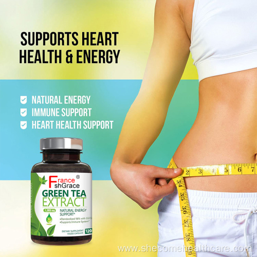 Green Tea Extract Capsules Strength for Natural Energy